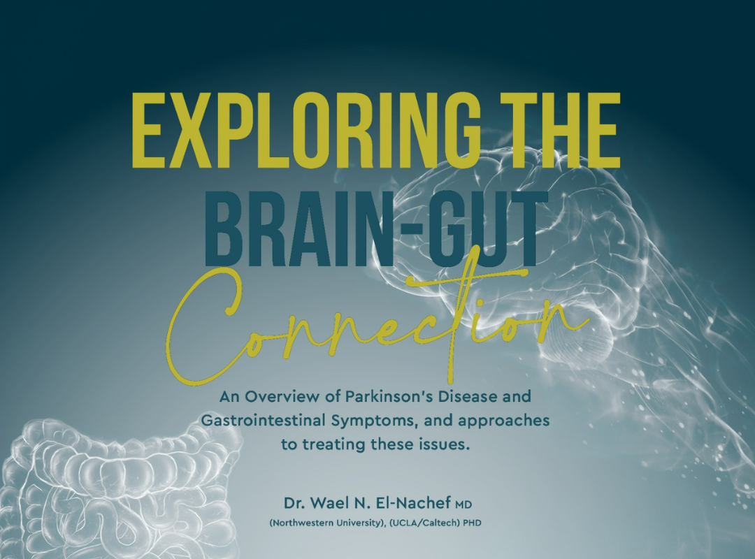 Brain and Gut Connection  - Zoom event with Q&A