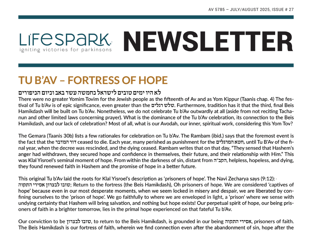Newsletter - July 2025 - Av Edition